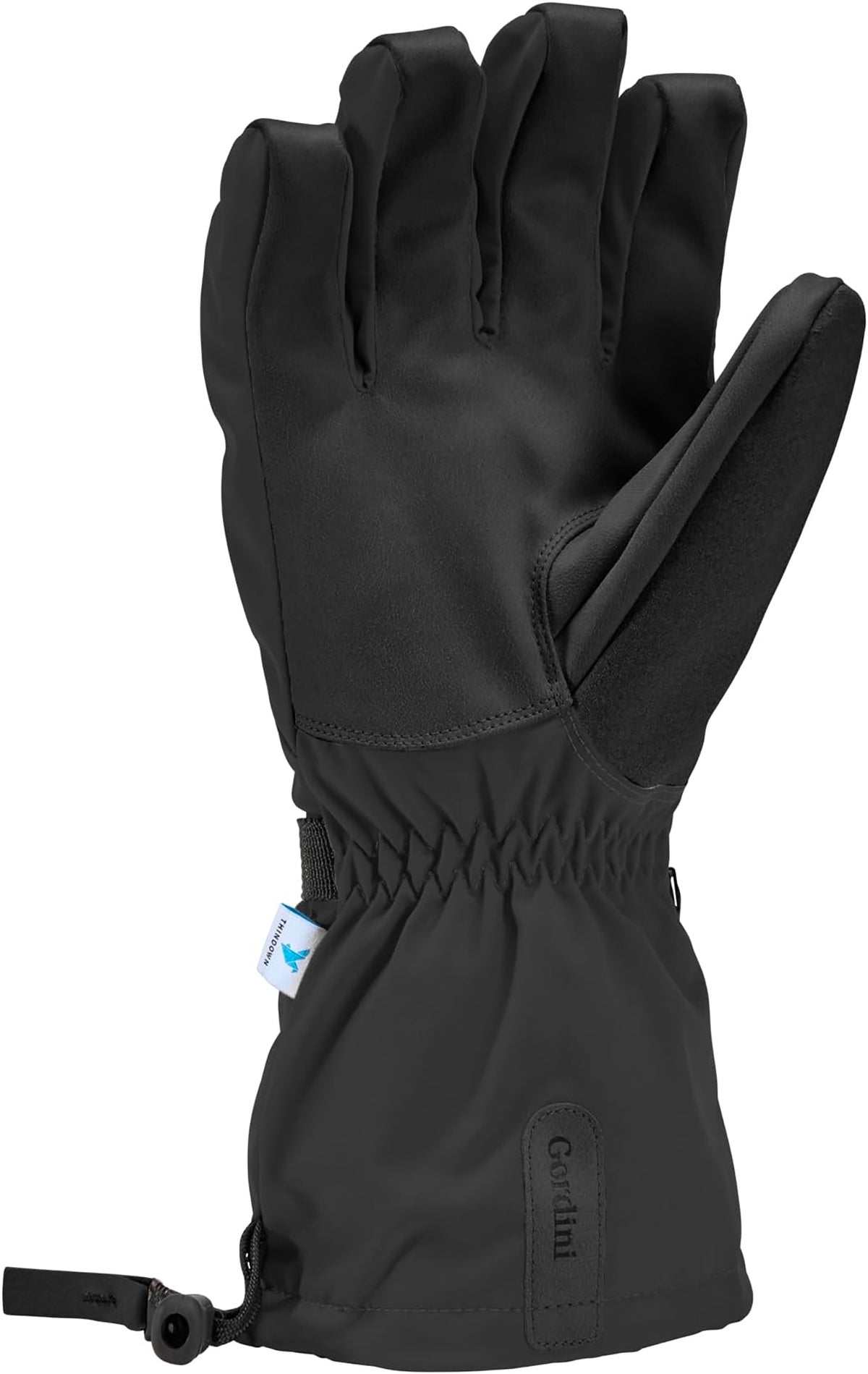 Gordini Windward Glove - Mens