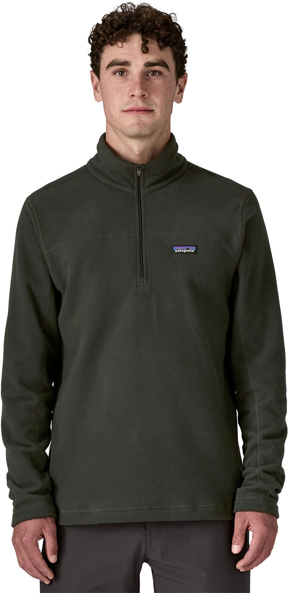 Patagonia Micro D Pullover - Mens