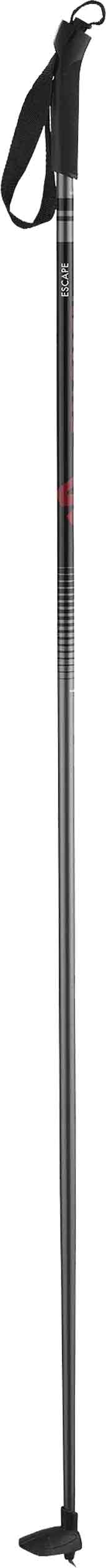 Salomon XC Escape Ski Pole 2023