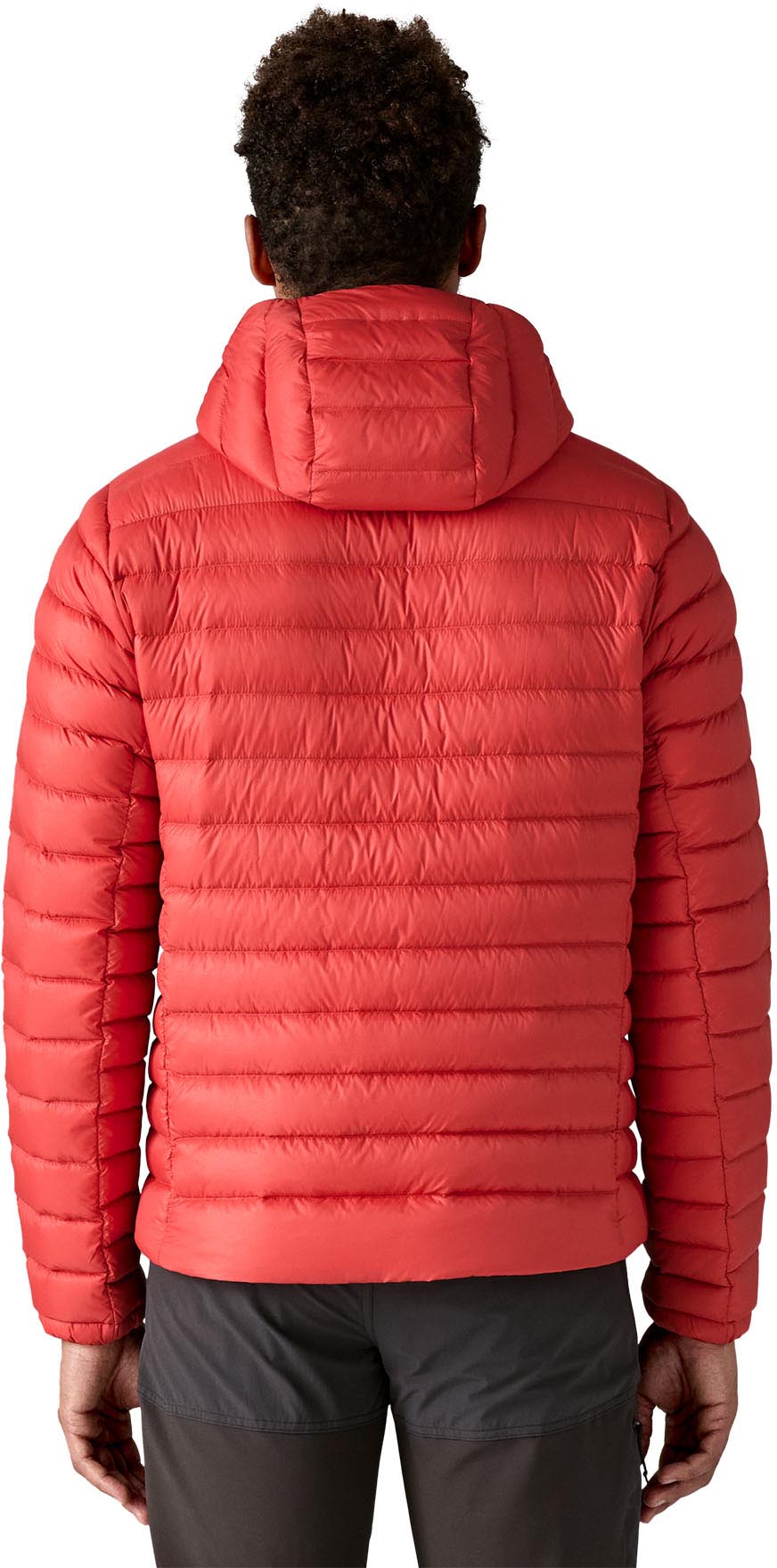 Patagonia Down Sweater Hoody - Mens