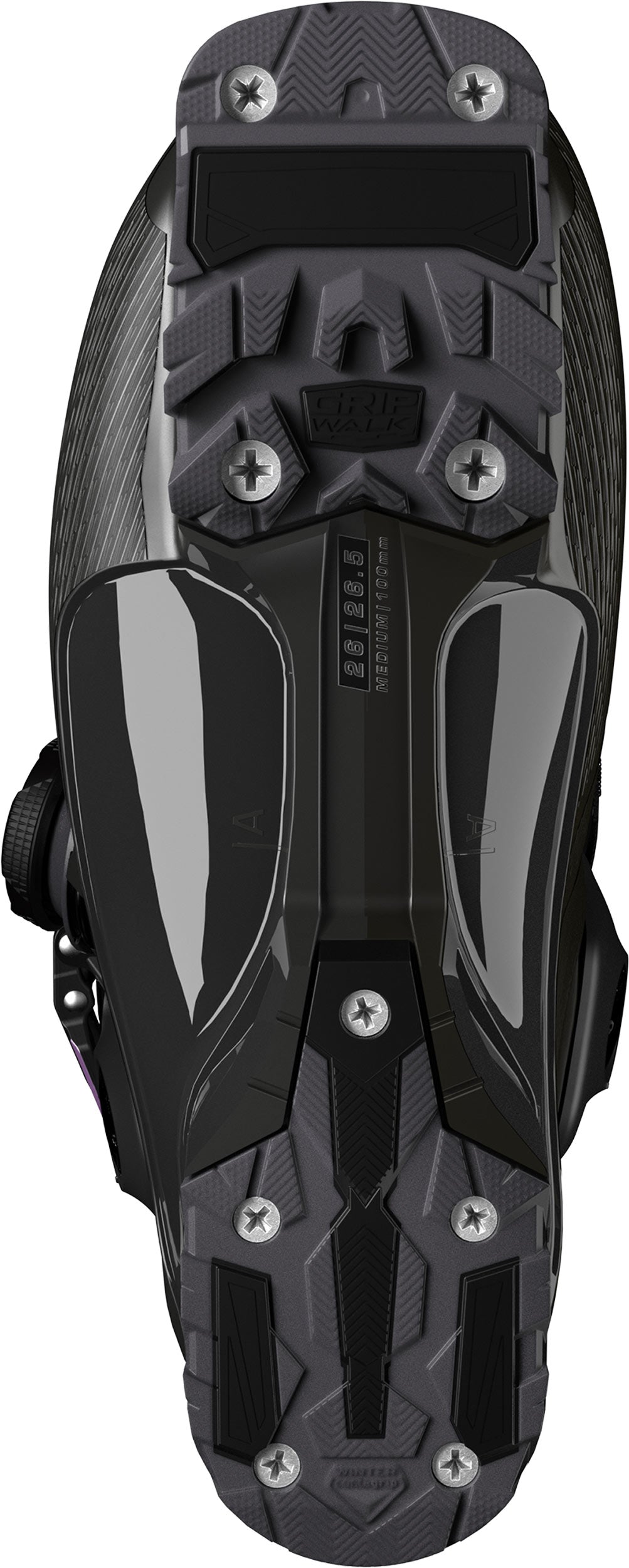 Salomon S/Pro Supra BOA 100 GW Boot