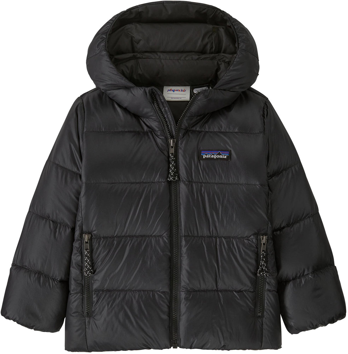 Patagonia Baby Hi-Loft Down Sweater Hoody