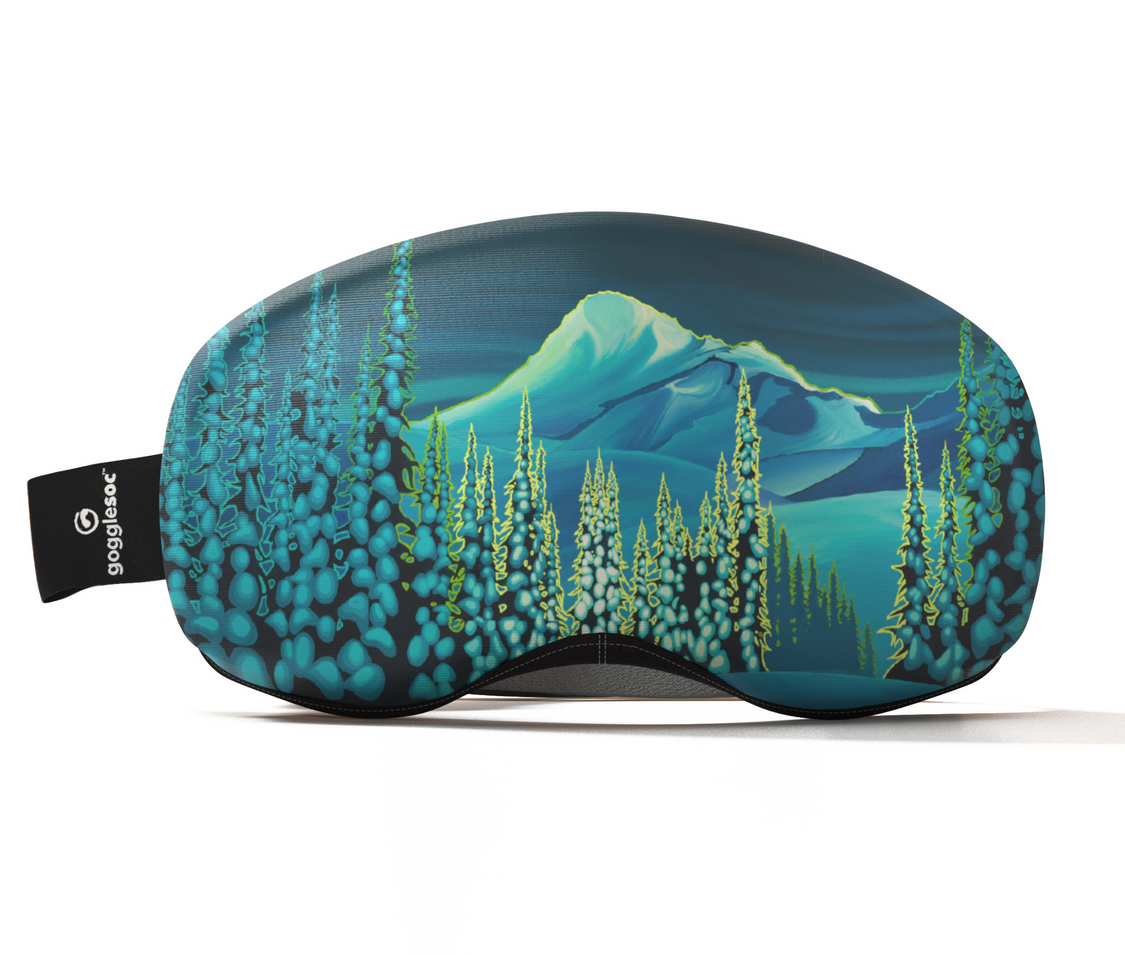 Goggle Soc Pro