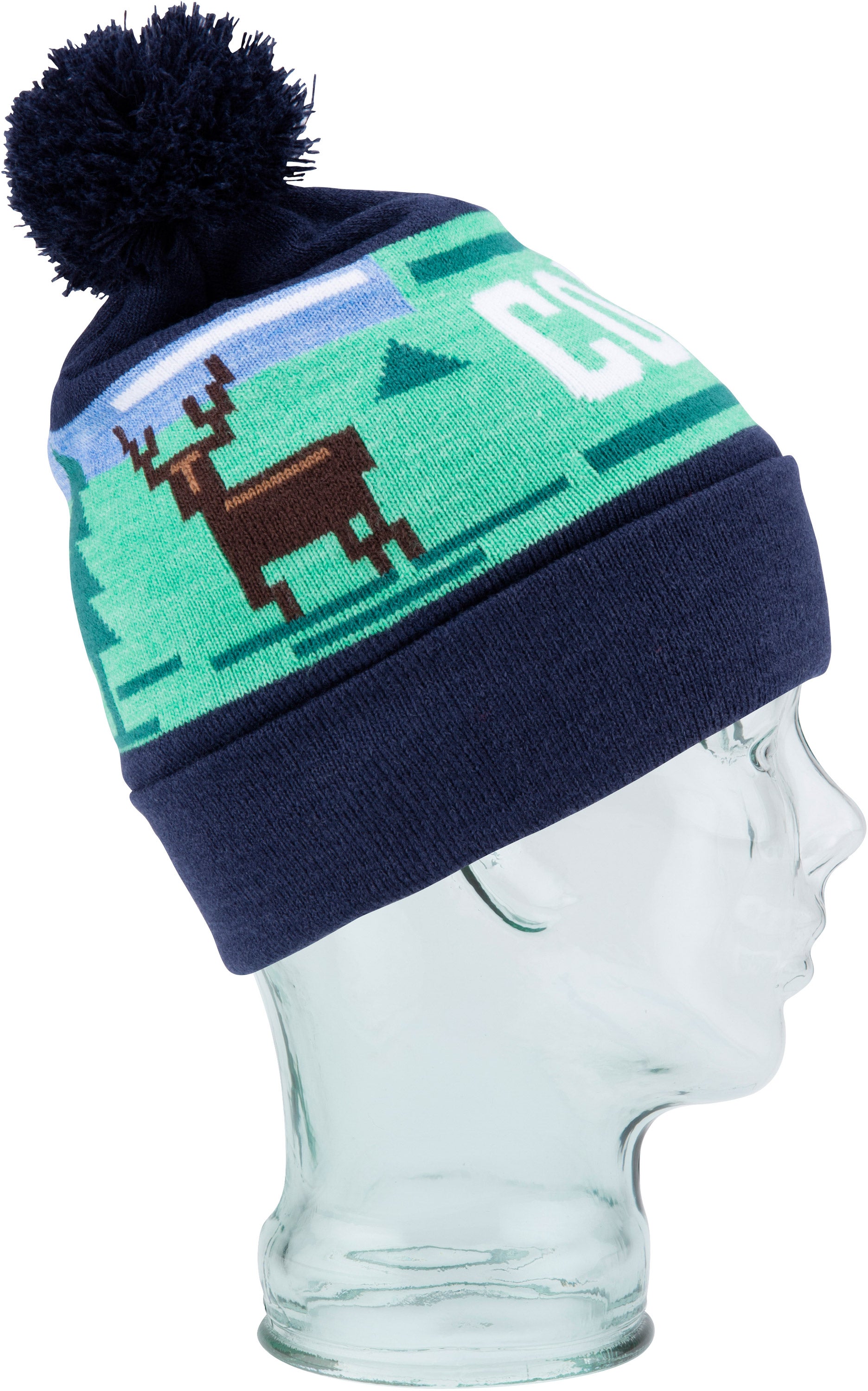 Coal The Downhill Beanie