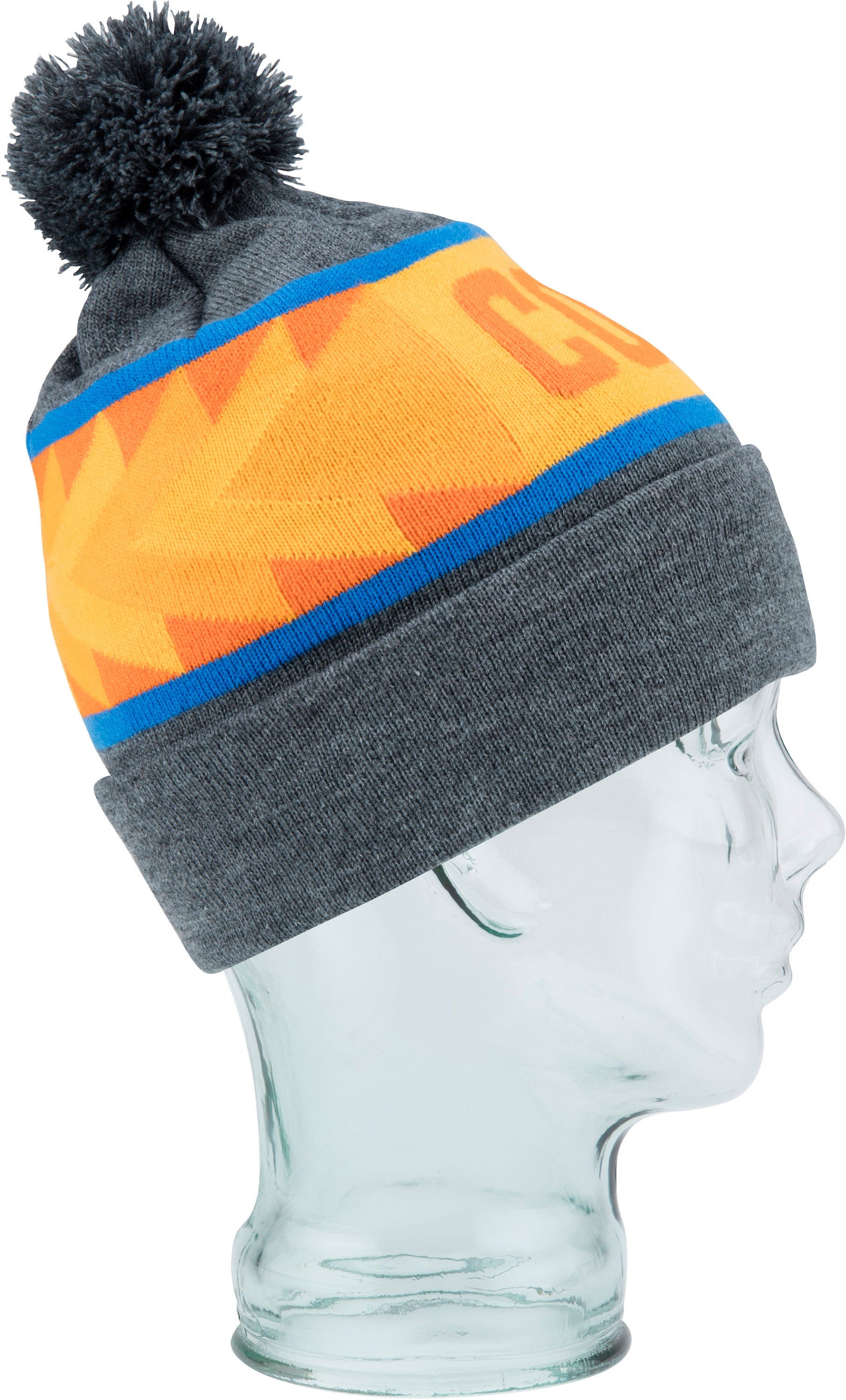 Coal The Downhill Beanie