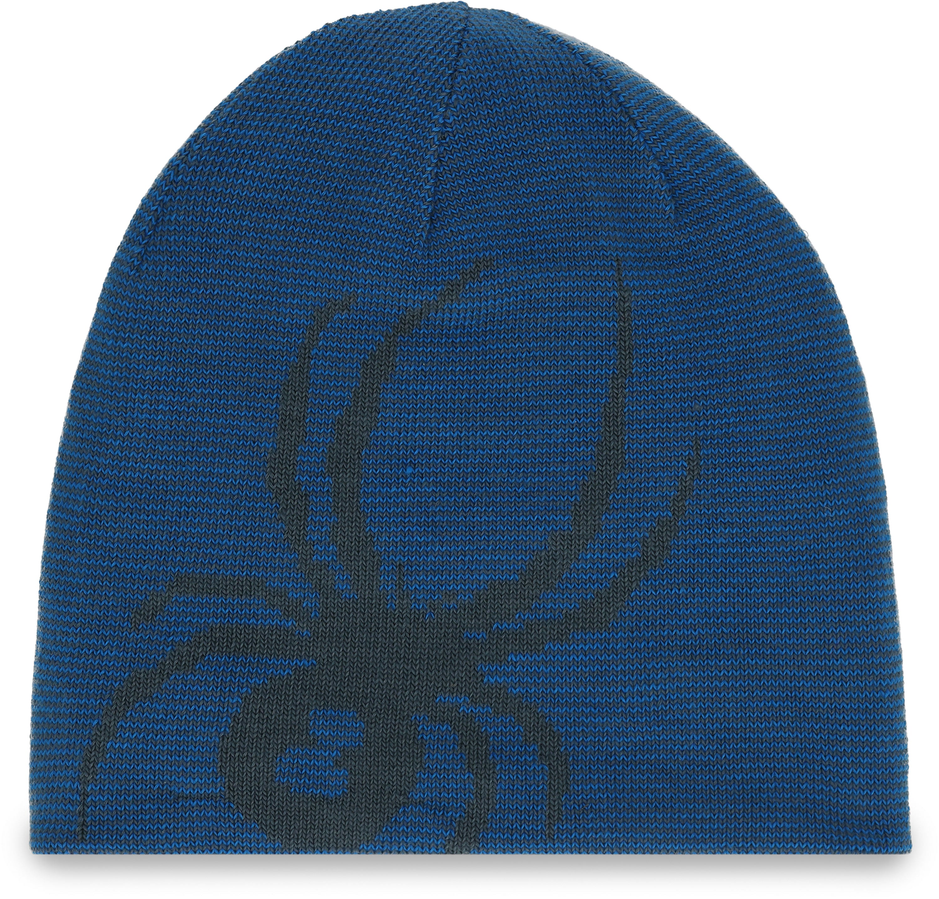 Spyder Reversible Innsbruck Hat