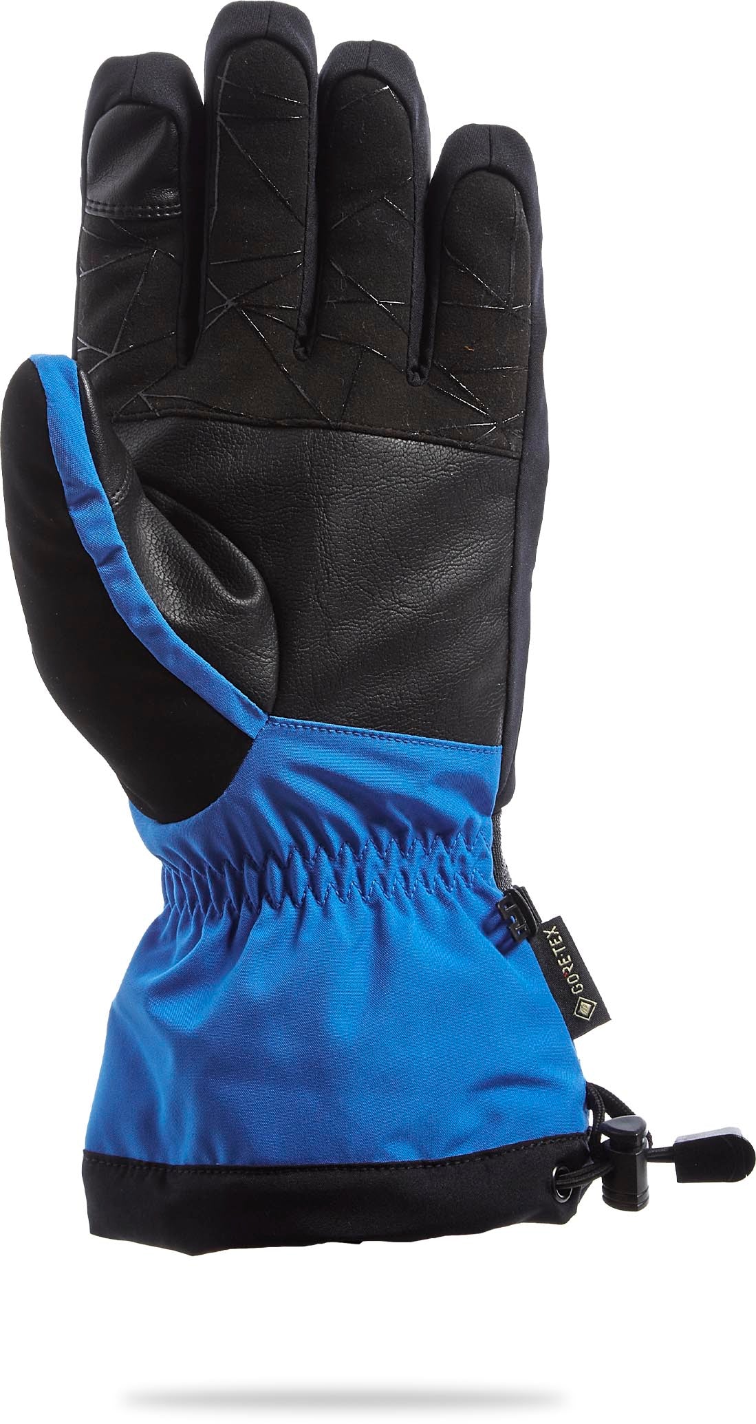 Spyder Overweb Gore-Tex Ski Glove