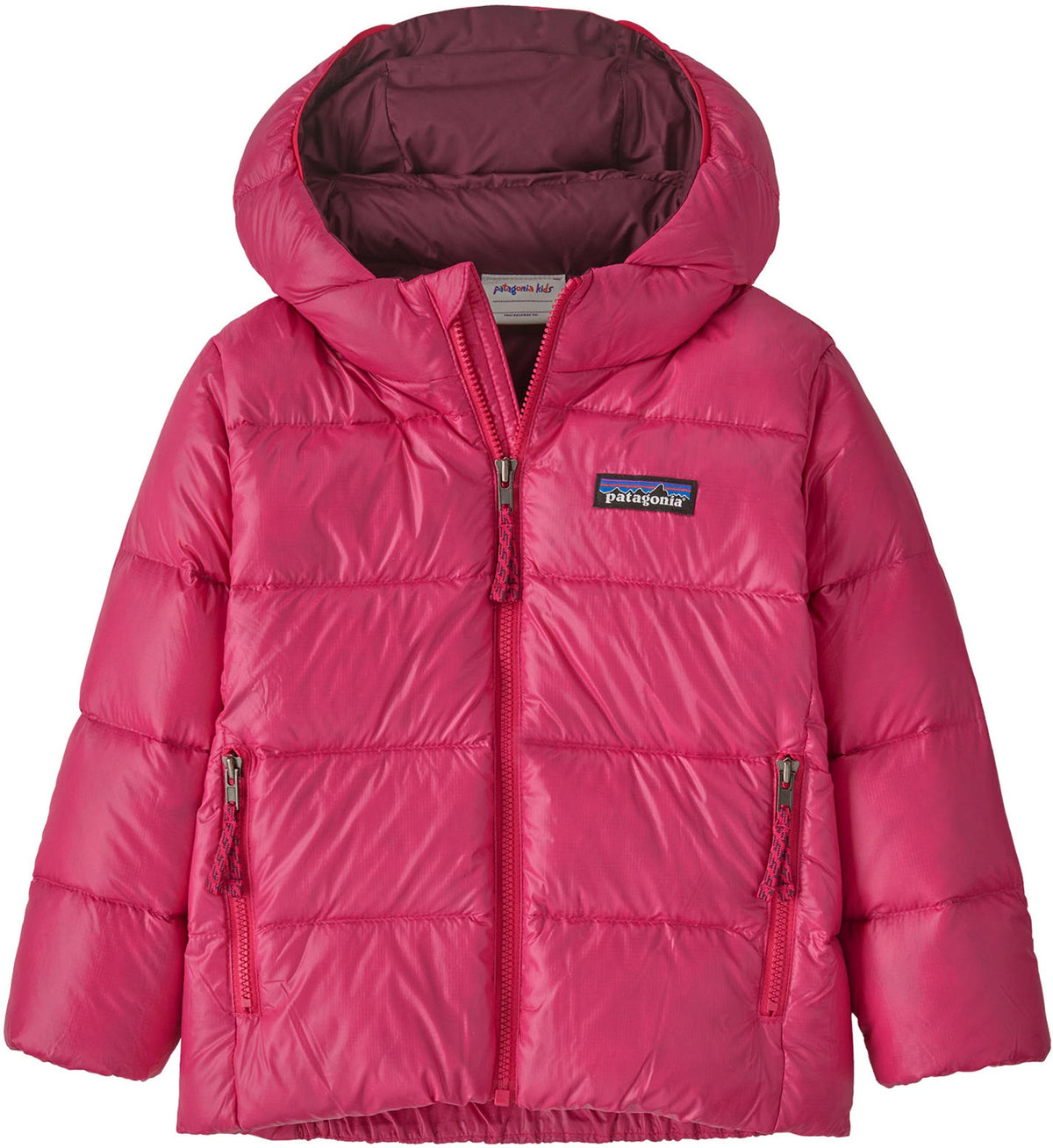Patagonia Baby Hi-Loft Down Sweater Hoody